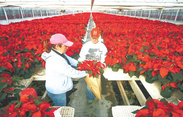 Farm fresh: Learning hub is pairs long-term vision