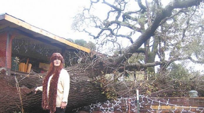 Winter Weather Storms Through Morgan Hill