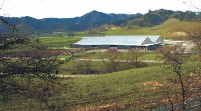 Williamson Act Wandering