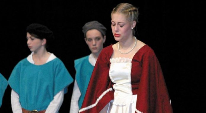 Emerald Regime takes home top award at 4th of July parade