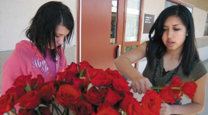 Calendar: See Romeo and Juliet – a cover band operetta