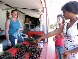 The County’s Top Crops