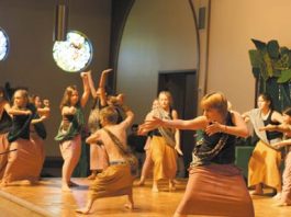 Spotlight of the Week