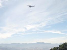 Quick Response Averts Spreading of Blaze