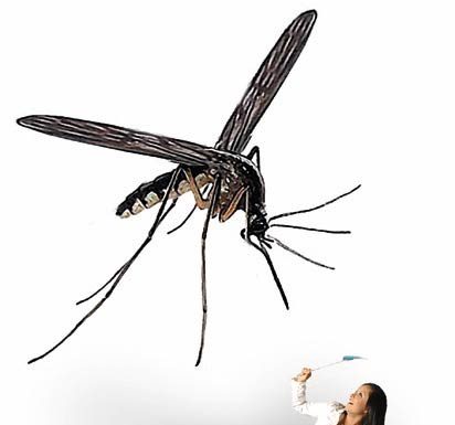 County Urges West Nile Vigilance