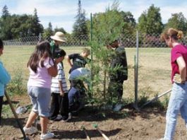 Los Paseos Elementary School News