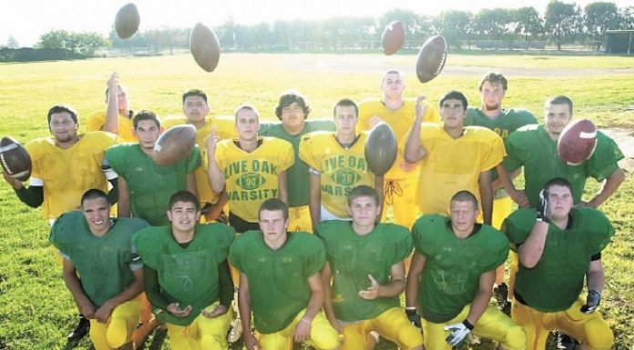 Acorns Aching for Success