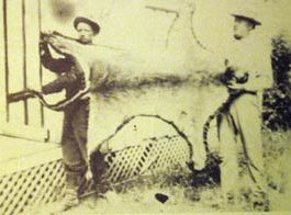 BASEBALL: National League brings great pitching and three-run homer for All-Star win