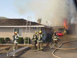 Century-old trees cut down by Rucker Elementary