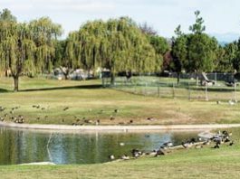 Community Park Improvements Begin