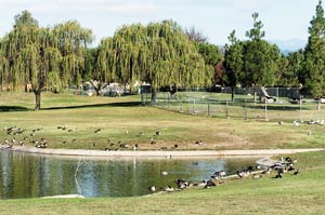 Community Park Improvements Begin