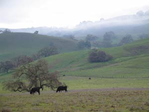 TRACK AND FIELD: Thrilling 4×400 triumph lifts GHS boys to first title