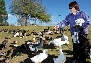 Fatal victims in 156 wreck were from Stockton