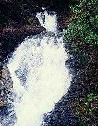 County Parks’ User Fees Could Rise This Summer