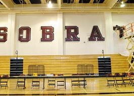 Spotlight of the Week