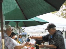 Market Vendors Open at BookSmart