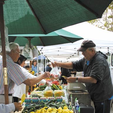 Market Vendors Open at BookSmart