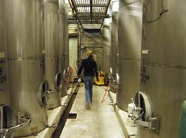 The Wine Plunge