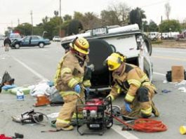 Man and ‘Best Friend’ Injured in Rollover