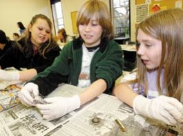 Spotlight of the Week: Inquisitive Minds at Science Alive