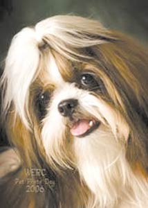 Pet Photo Day to Raise Money for WERC