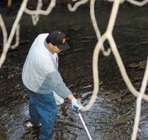 Recent Rains Heal Uvas Creek After Wastewater Spill