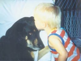 Tainted Food Claims MH Dog’s Life