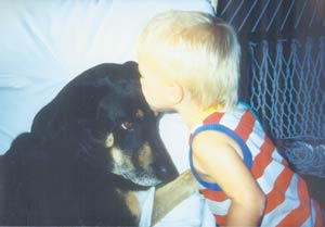 Tainted Food Claims MH Dog’s Life