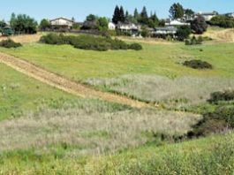 Trails Controversy Sweeps Through Jackson Oaks