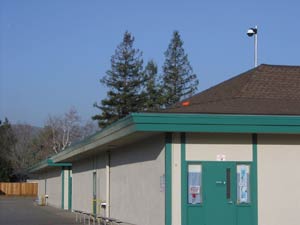 Keeping an Eye on Acorns