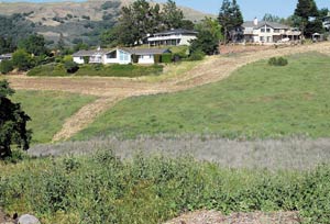 Jackson Oaks Trails Battle Round Two?