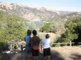 Hillside Neighborhoods Nervously Watch Blaze Grow