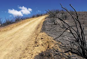 Teacher Charged With Starting Lick Fire