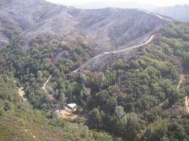 Inferno at Coe Park Finally Subsides