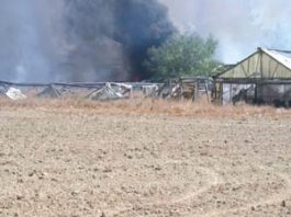 Downed Power Lines Spark Fire