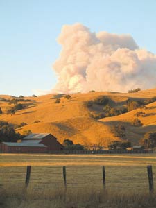 LABOR DAY DELIVERS A BEAST