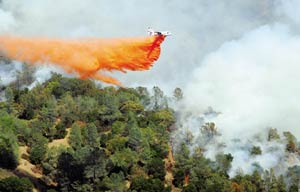 A HELLISH INFERNO AT COE PARK