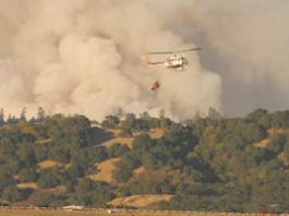 Awaiting Nature’s Regeneration