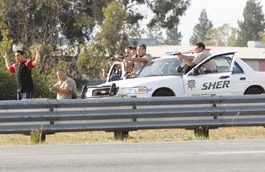 Police arrest suspected purse snatcher