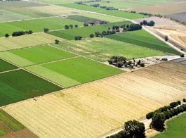 Coyote Valley Build-out Plan Up for Review