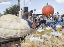 Hordes of Gourds in San Martin