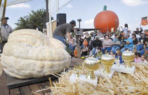 Hordes of Gourds in San Martin