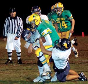 Playoff Bound Acorns