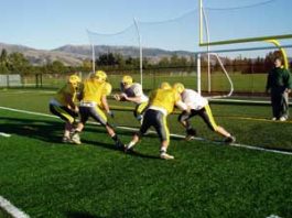 Acorns hope for win over Falcons to advance to finals