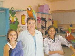 Birds invade El Toro Center