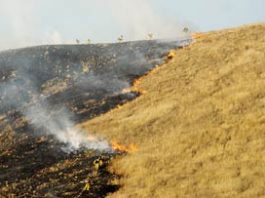 Brush fire burns in San Martin