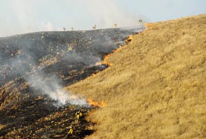 Brush fire burns in San Martin