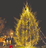 Holiday Lights parade dazzles spectators
