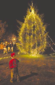 Holiday Lights parade dazzles spectators