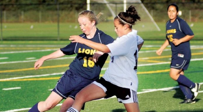 Bulldogs Dominate Lions